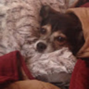 Meet your Posher, Christy